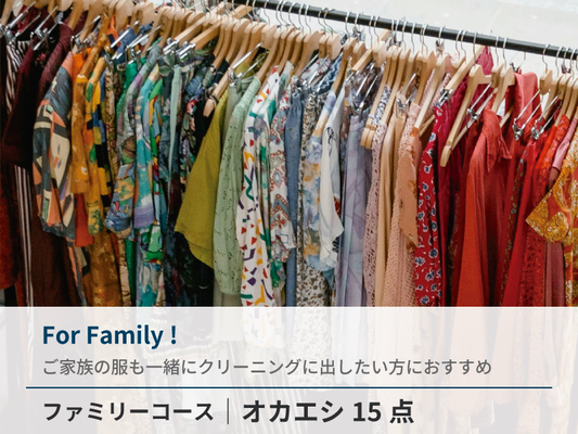 【最速納品可】衣類クリーニング 15着パック